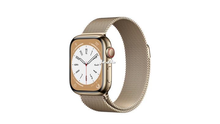 apple-watch-gold-stainless-steel-case