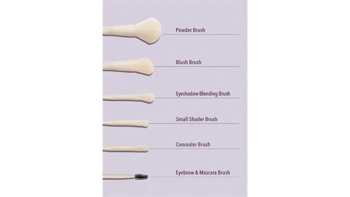 ست براش 6 تکه شیگلم Sheglam Pro Core Brush Kit