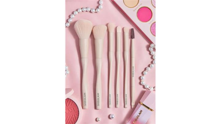 ست براش 6 تکه شیگلم Sheglam Pro Core Brush Kit