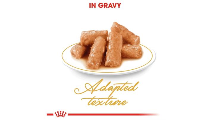 پوچ گربه بریتیش بالغ رویال کنین Royal Canin