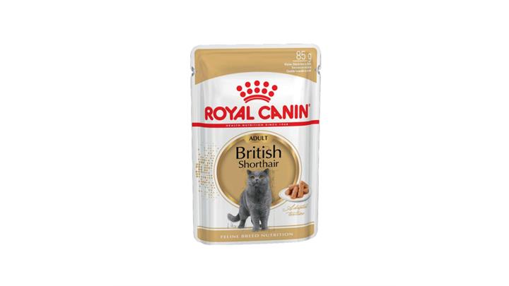 پوچ گربه بریتیش بالغ رویال کنین Royal Canin