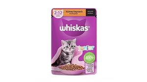 پوچ گربه جونیور طعم مرغ ویسکاس Whiskas