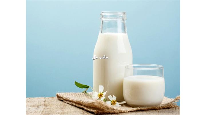 شیر milk