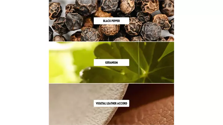 ادکلن مردانه اوریفلیم Eclat Toujours Eau de Toilette 