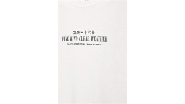 تیشرت مردانه اورجینال برند pull and bear