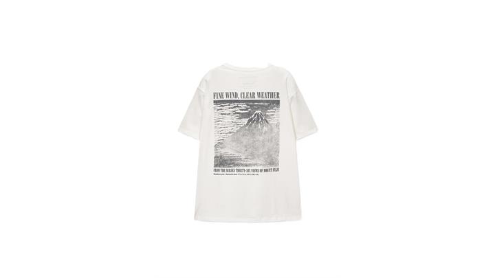 تیشرت مردانه اورجینال برند pull and bear