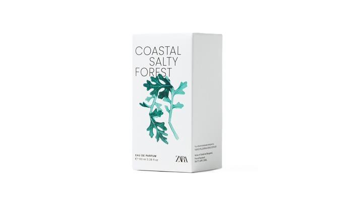 عطر مردانه اورجینال COASTAL SALTY FOREST EDP 100ML برند zara