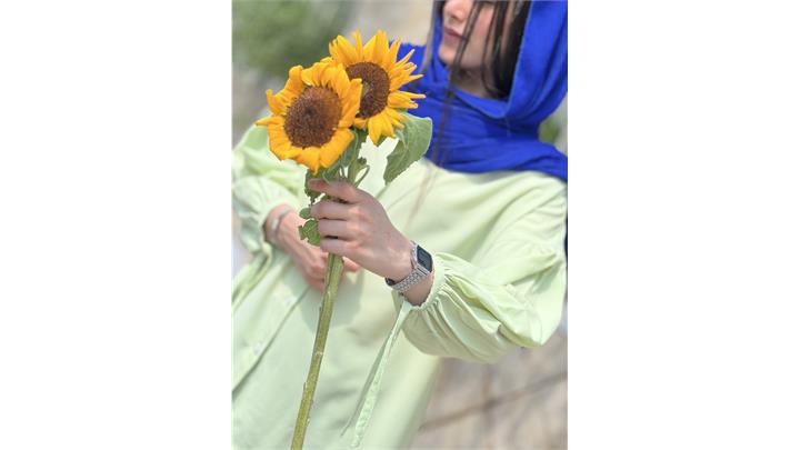 شومیز زنانه فری سایز مدل پاپیون