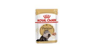 پوچ گربه پرشین بالغ رویال کنین Royal Canin