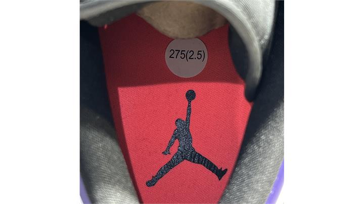 کتونی نایک ایر جردن Nike Air Jordan black/purple