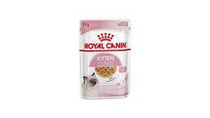 پوچ بچه گربه رویال کنین کیتن ژله ای Royal Canin
