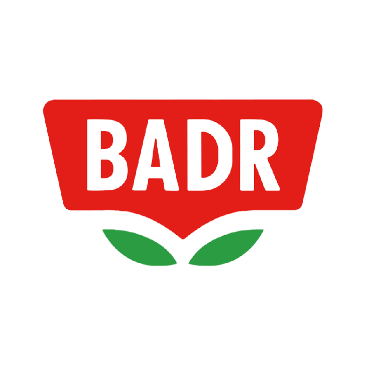 بدر