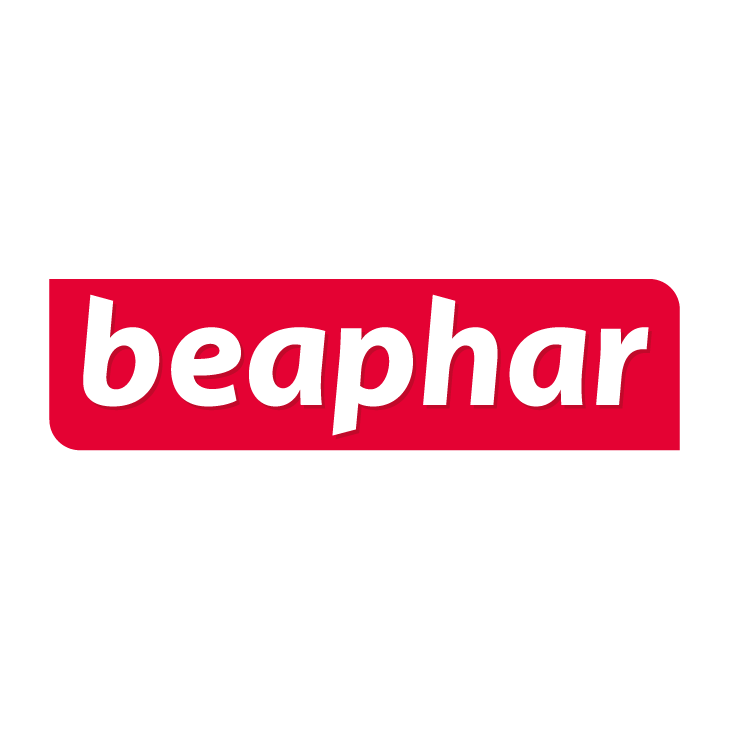 بیفار